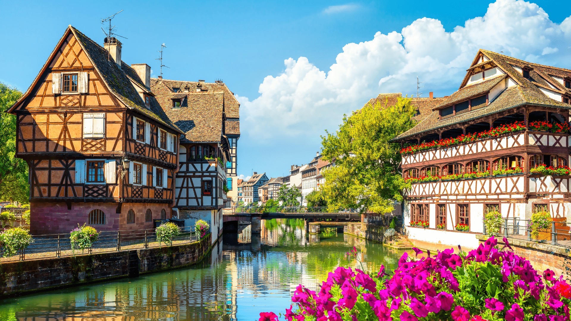 Pourquoi choisir une école de commerce à Strasbourg ?